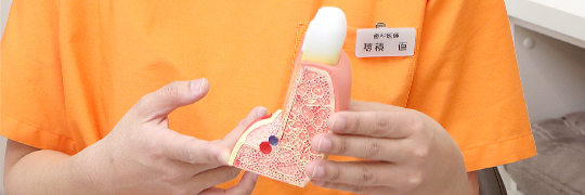 予防歯科